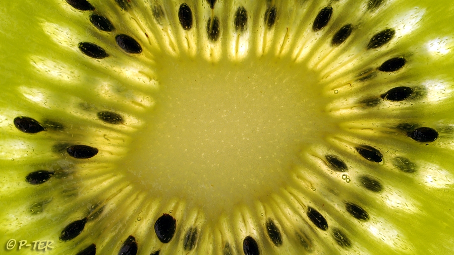 DSC WEBN0002033 3637cc kiwi zaadjes fruit plant groen geel.jpg
